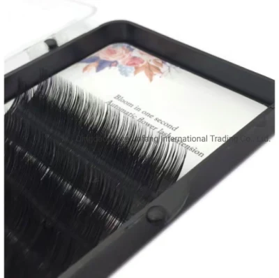 High Quality Large Tray Easy Fanning Eyelash Extensions C D Curl Best Sellingmink Wholesale Hot Sale Black Synthetic Eyelashes